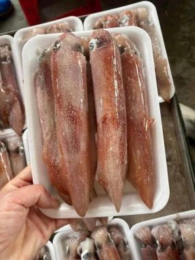 Mực trứng nháy Mino Indo size 12 - 15 con/kg