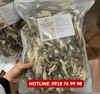 NÂM LỘC NHUNG - HÀNG NGON LOẠI 1