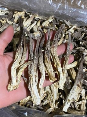 NẤM LỘC NHUNG - HÀNG LOẠI 2