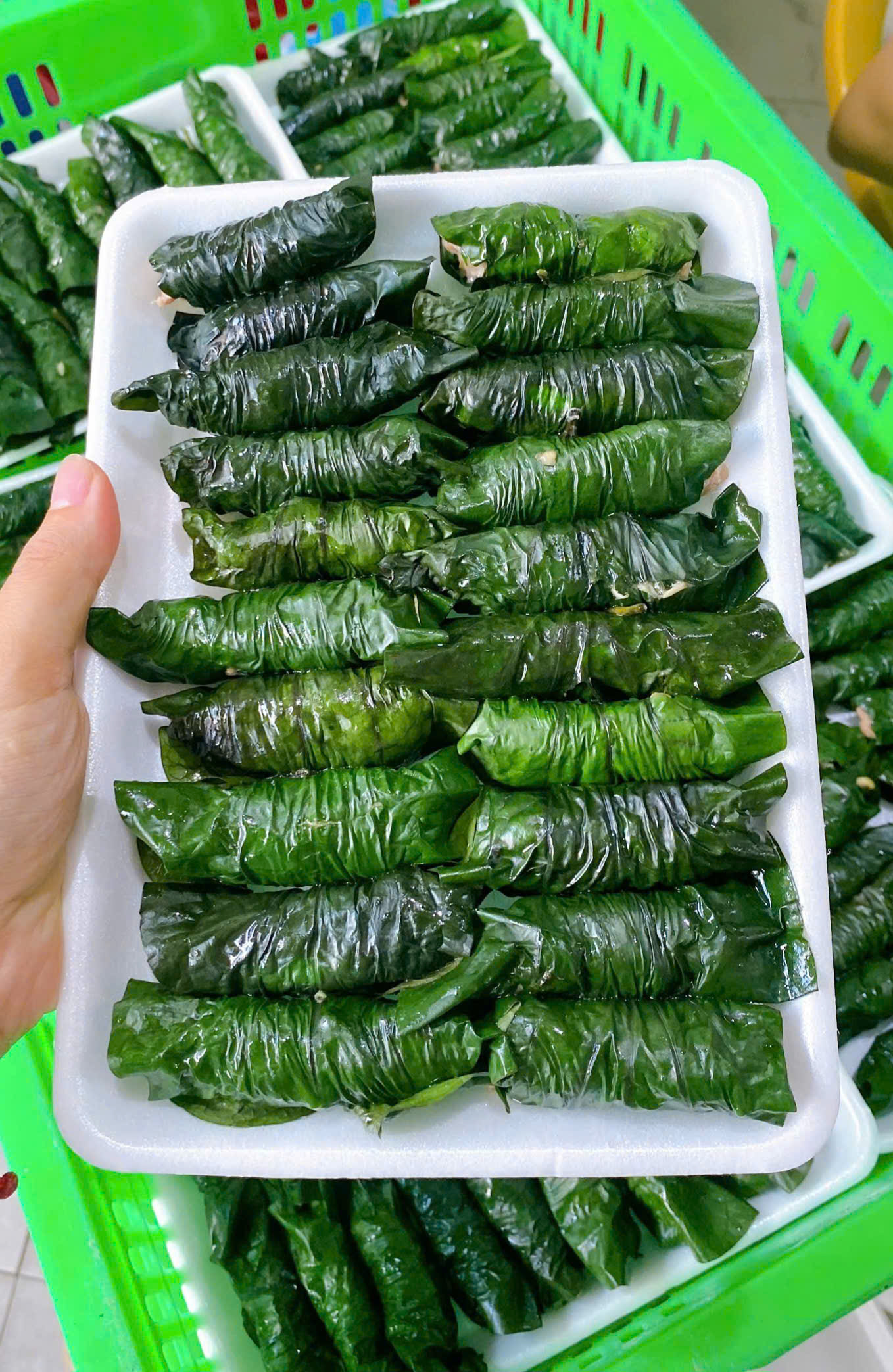 BÒ LÁ LỐT 20 CUỐN/VỈ